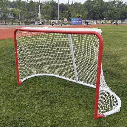 Portable hockey goal