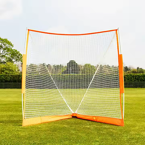 Portable lacrosse goal