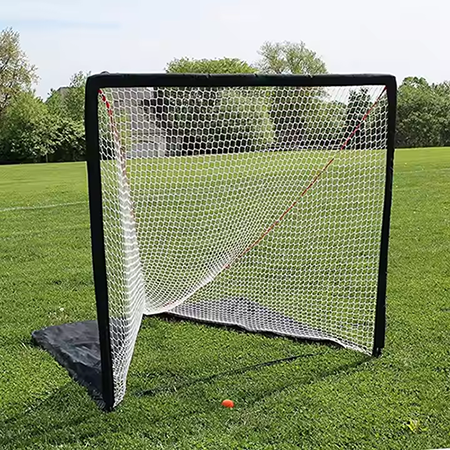 Portable lacrosse goal