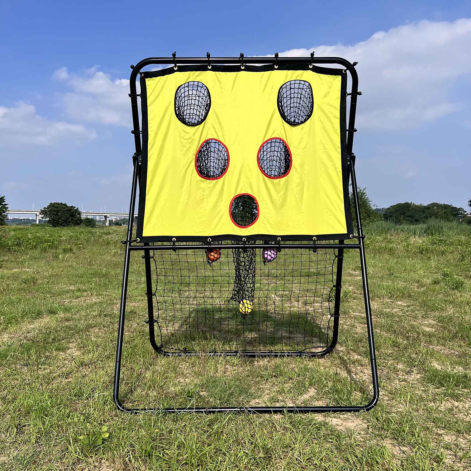 Pickleball Rebounder with Target